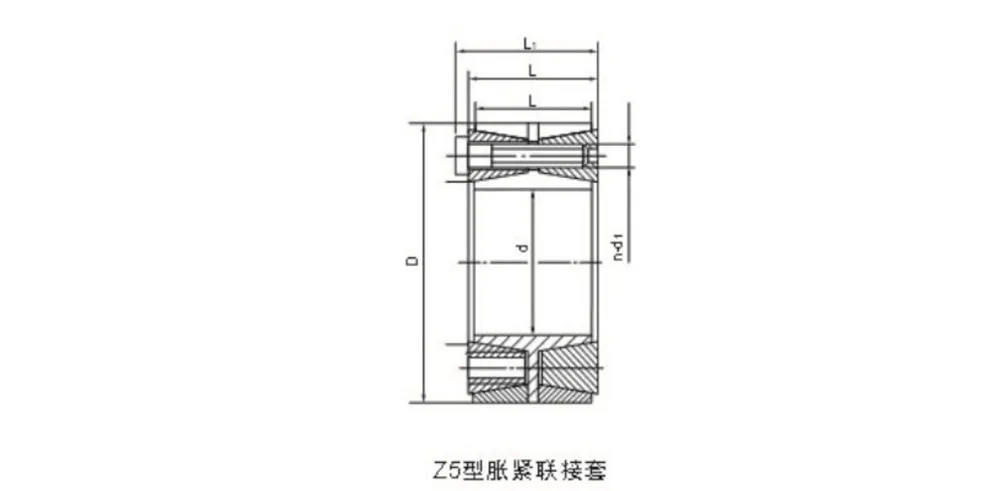Type Z5 Locking Assembly